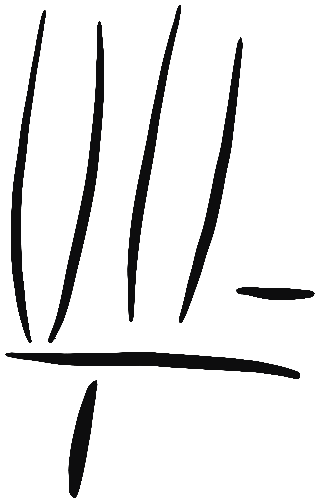 Image of the occurrence
